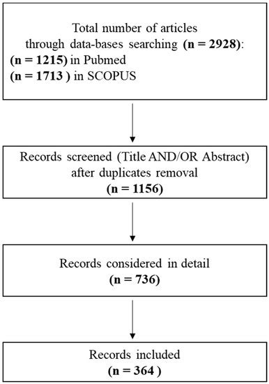 Tissue-Engineered Grafts from Human Decellularized Extracellular ...
