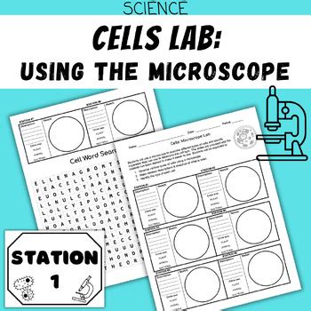 Microscope Lab Activity 的图像结果