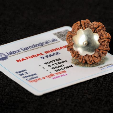 9 Mukhi Nepali Rudraksha - Nau Mukhi – Japam