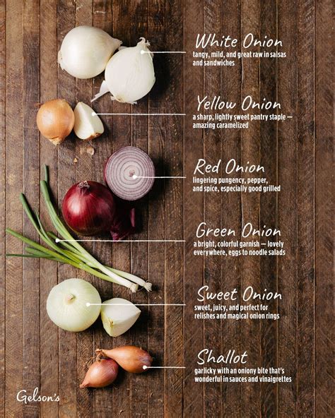 Difference Between Onions: The Comprehensive Onion Guide | — Gelson’s | Types of onions, Stuffed ...