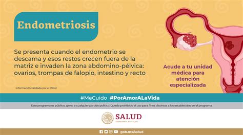 Endometriosis: Síntomas, Prevención Y Tratamientos – JFTU