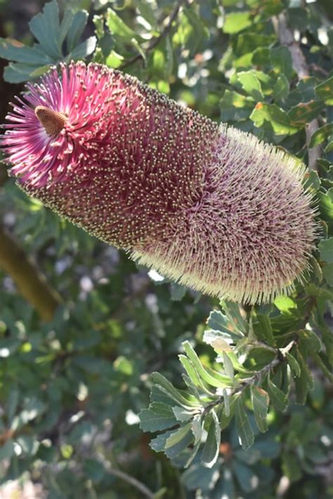 पर्यावरण, प्रकृति, पृथ्वी, पशु-पक्षी, पौधे और जलवायु परिवर्तन से जुड़ीं ...