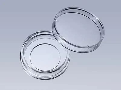 Cell 2D 的图像结果