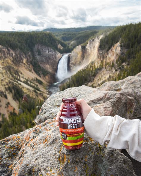 What is Cold Pressed Juice? Benefits & Facts Inside