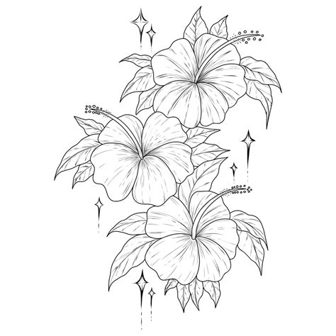 Hibiscus Flower Outline Drawing Black And White Lineart Flower Drawing ...