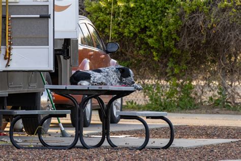Gallery | Flag City RV Park | Top-Rated RV Sites in Lodi, CA