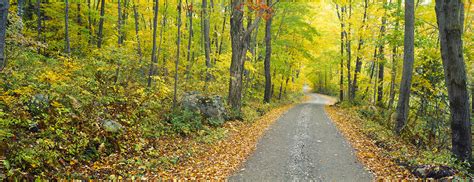 Image result for Example Health