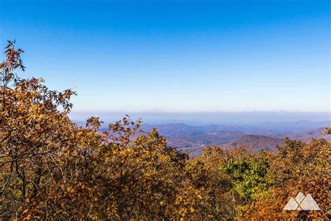 Springer Mountain: Hiking & Backpacking Guide