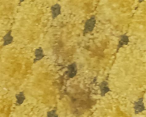 GREEN TREE INN (Victorville) - Hotel Reviews, Photos, Rate Comparison ...
