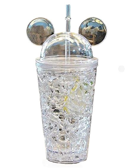 Buy ETASHA STORES Plastic Glass Sipper/Tumbler with Straw and Lid (650 ...