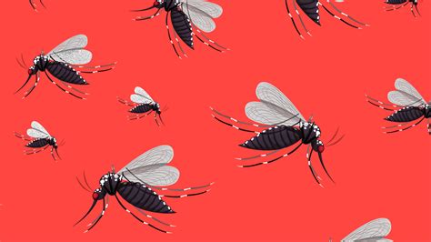 Researchers study Chikungunya proteins for a potential cure | Research ...