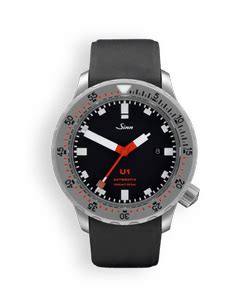 Sinn Watches | Chrono24.in
