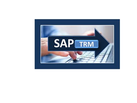 SAP Online Training & Certification Course - Proexcellency – Page 2