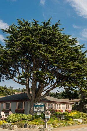 SEA OTTER INN (Cambria) - Hotel Reviews, Photos, Rate Comparison ...