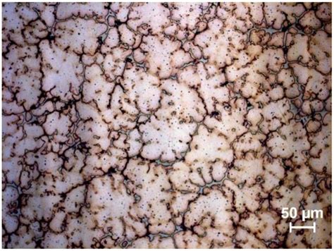 Designing Advanced Biomedical Biodegradable Mg Alloys: A Review