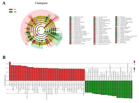 Animals | Special Issue : Animal Poisoning Related to Pathology and ...