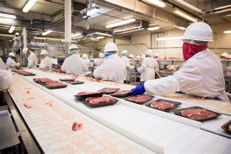 Inside the Meat Processing 的图像结果