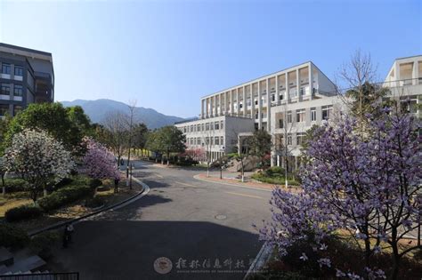 校园风光-桂林信息科技学院