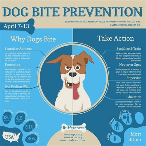 Dog Bite Prevention — Off Leash MKE | Adventure Club for Dogs