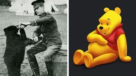 Where Are Your Fictional Bear Friends From? | Times Knowledge India