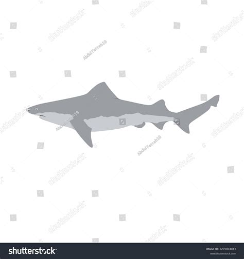 Ganges Shark Monsters Of God Two Fish & A Lizard