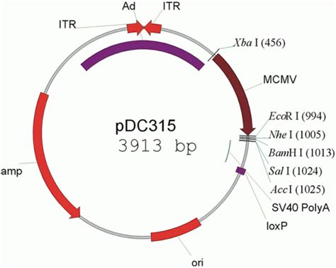 Pcdf Vector 的图像结果