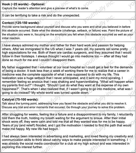 Image result for Common Application Essay Examples