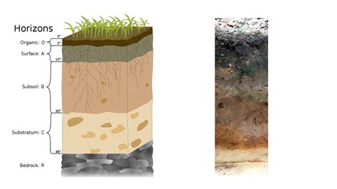 Horizon Layers Soil