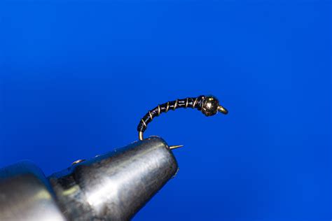 Simple Fly Patterns 的图像结果