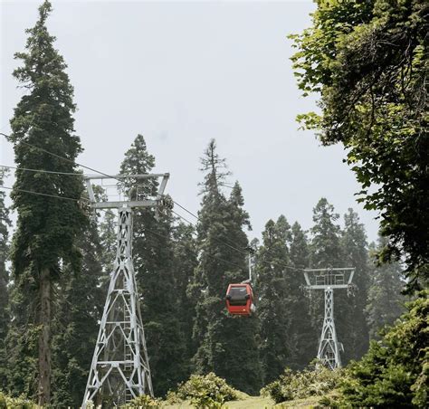 From Srinagar: Gulmarg Full-Day Private Tour with Guide & AC Car ...