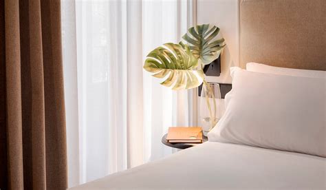 ROOM MATE OLIVEIRA (Valencia) - Hotel Reviews, Photos, Rate Comparison ...