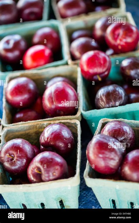 Local Organic Produce 的图像结果