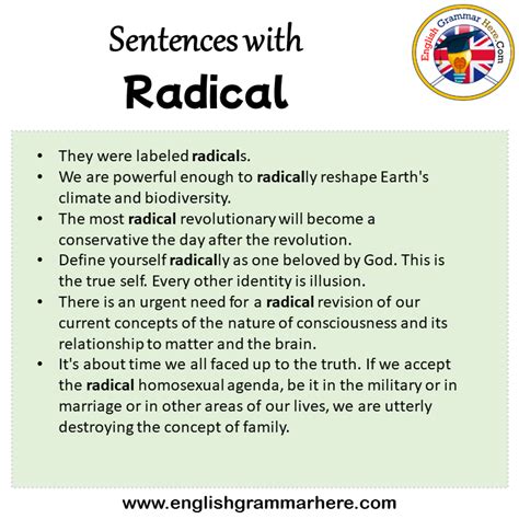 Sentences with Radical, Radical in a Sentence in English, Sentences For ...