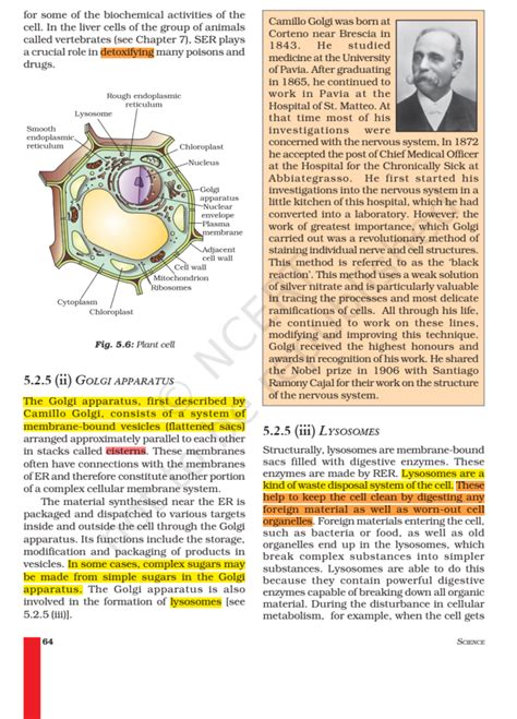 Class 9th Science Chapter 5 的图像结果