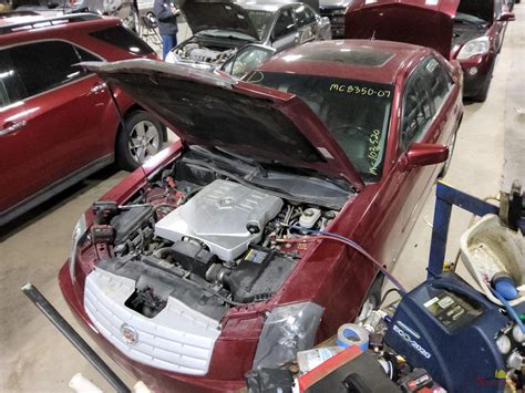 Vehicle List - Ewe Pullet