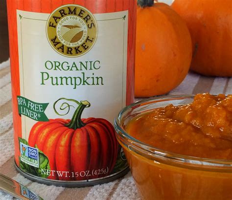 Is Canned Pumpkin Paleo - Paleo Plan