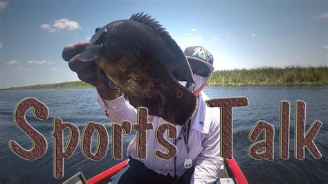 Image result for Shellcracker Fishing 2014