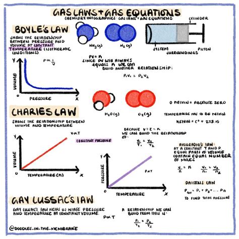 Image result for Gas Laws Lab