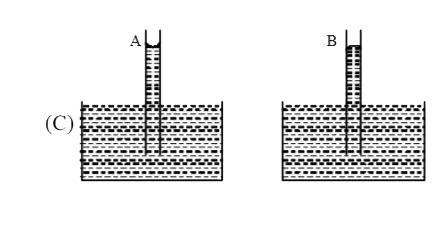 A capillary tube (A) is dipped in water. Another identical tube (B) is ...