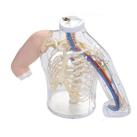 Arm Injection 的图像结果