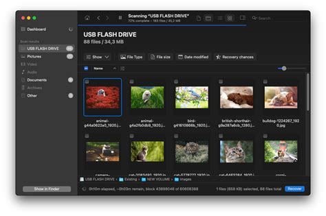 Image result for Disk Repair GUI