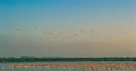 Nerul, Mumbai - Map, Pincode, Property Rates, Photos & Reviews 2026