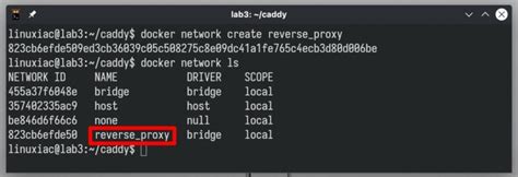 Image result for Caddy Reverse Proxy Tutorial