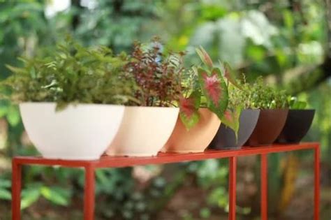 Garden Pots And Planters - Square Plastic Planter Pots Manufacturer ...