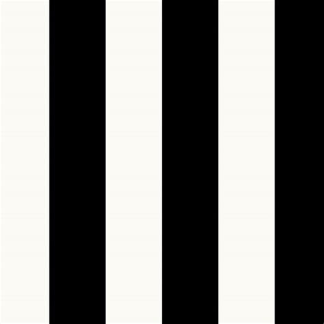 Image result for When Does IRS Transcript Update