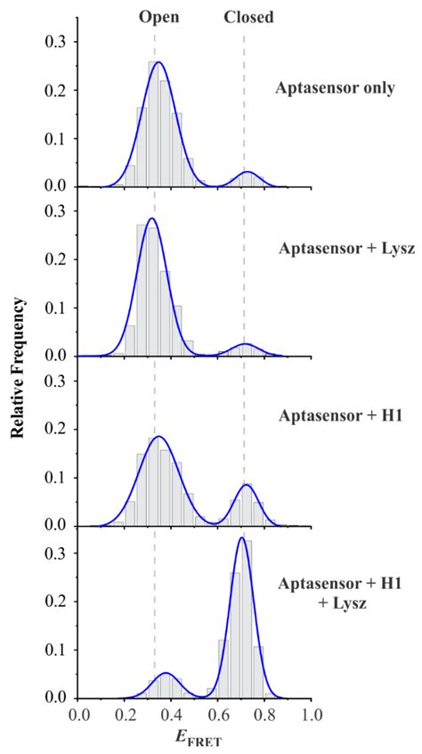 FRET-Based Aptasensor for the Selective and Sensitive Detection of Lysozyme