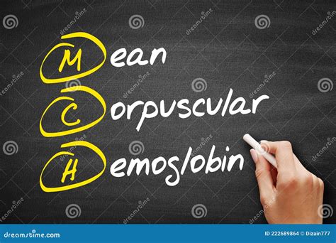 MCH - Mean Corpuscular Hemoglobin Acronym, Concept on Blackboard Stock Photo - Image of normal ...
