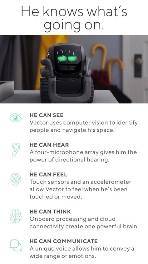 Vector Robot 的图像结果