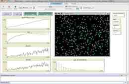 Local Variable NetLogo 的图像结果