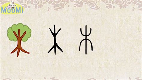 五行起名之属木的宝宝取名常用汉字 - 每日头条